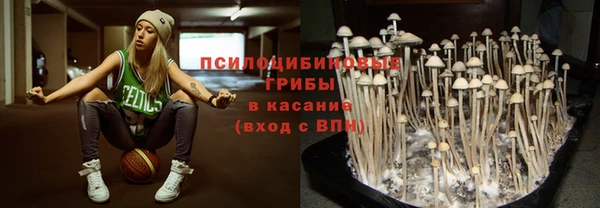 2c-b Няндома