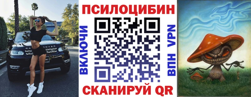 Псилоцибиновые грибы MAGIC MUSHROOMS  сколько стоит  Порхов 
