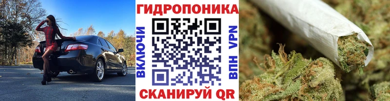 Бошки Шишки гибрид  Порхов 